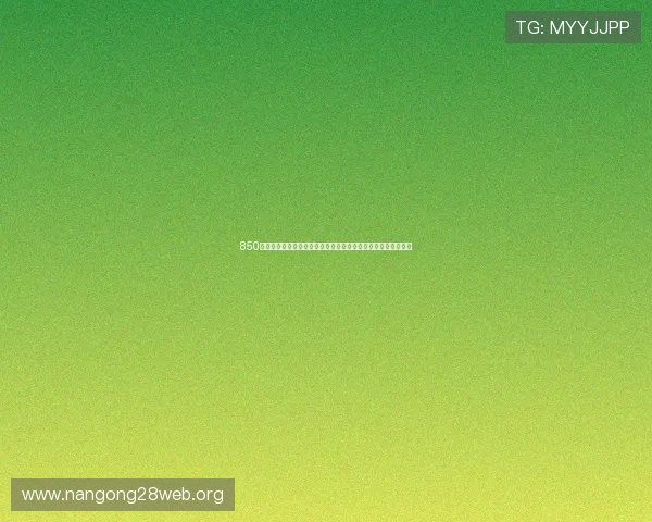 850棋牌游戏安全保障措施详解确保玩家资金与信息安全的最佳实践