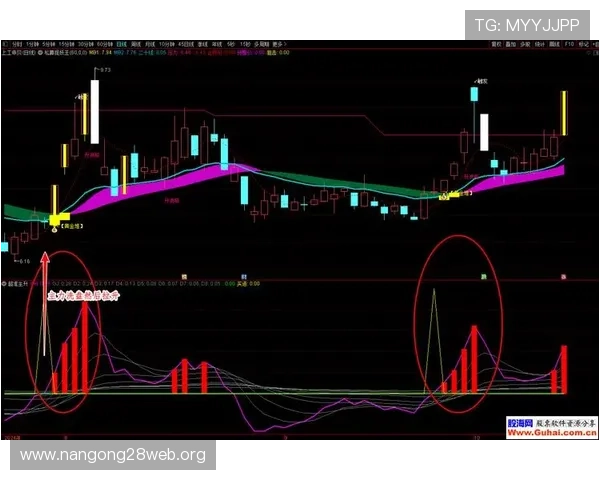 三公游戏规则详细说明帮助玩家避免常见误区与提升胜率