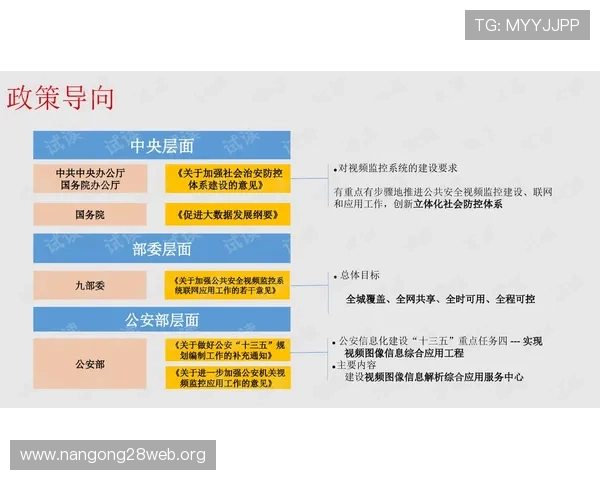 如何在富贵三张玩法中实现策略优化，提升整体获胜几率
